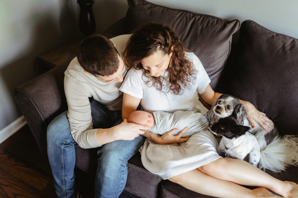 Mom and Dad holding newborn baby boy and 2 dogs on couch